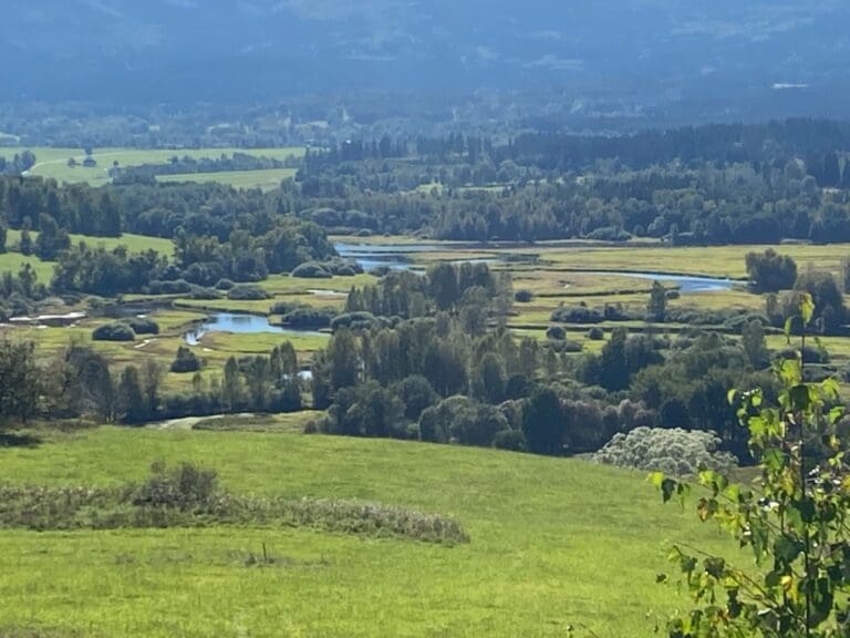 # 75 Naučná stezka Želnavskem (U Nové Pece, Lipno)