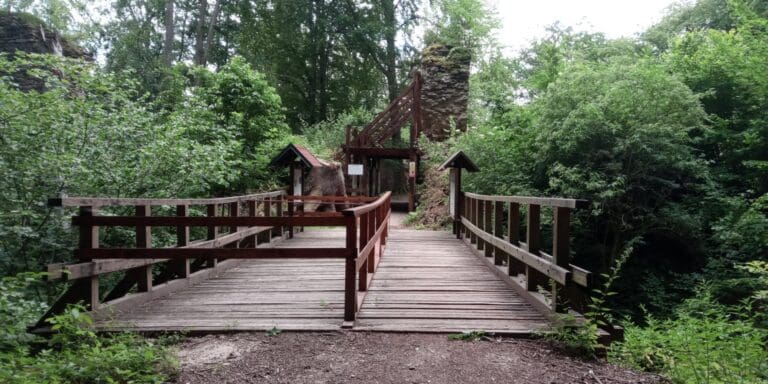 #26: Zřícenina hradu Karlův hrádek u Purkarce