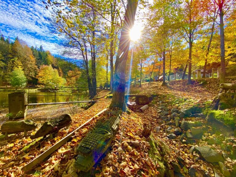 #243: Zvířecí obůrka a Fefrovské rybníčky a studánka (Prachatice)