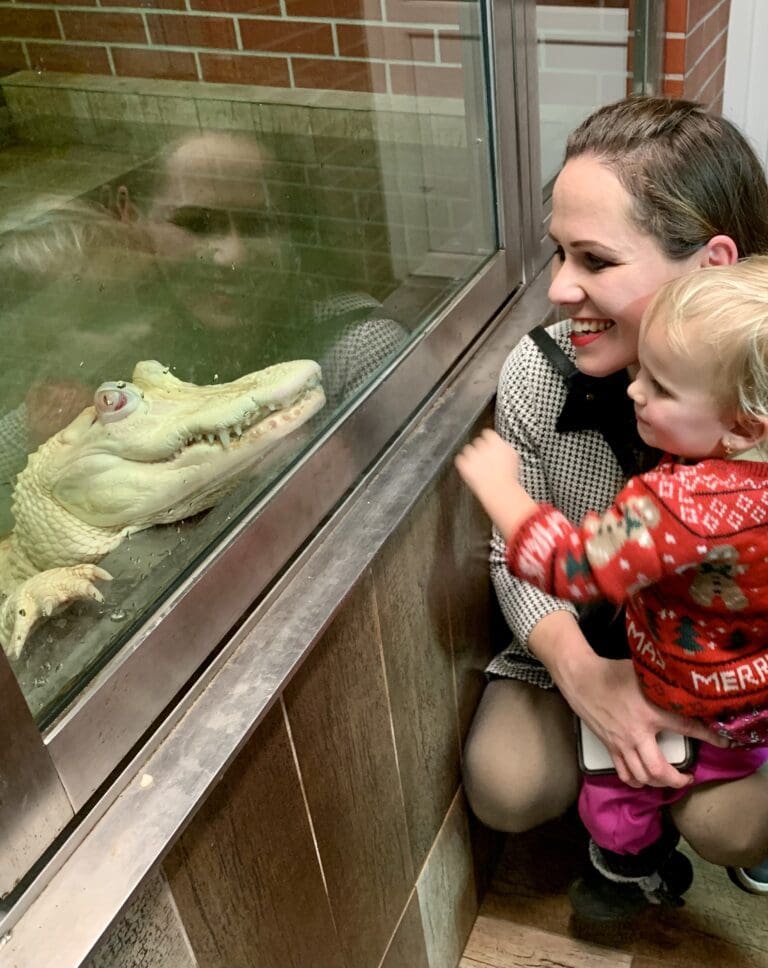 #256: Krokodýlí zoo Protivín